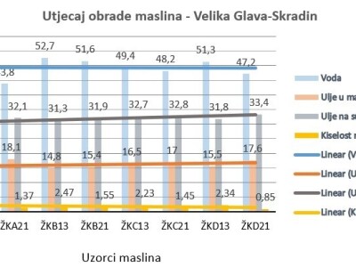 Istraživanje - mikorizacija maslina