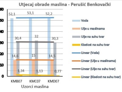 Istraživanje - mikorizacija maslina