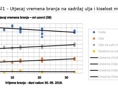 Istraživanje - mikorizacija maslina