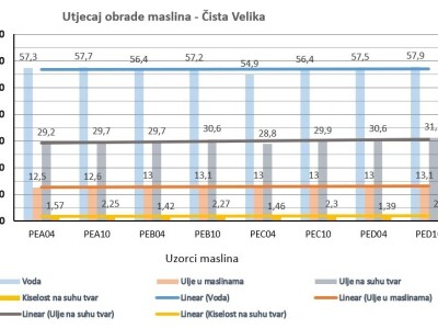 Istraživanje - mikorizacija maslina