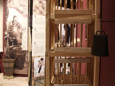 Istrorumunjski jezik