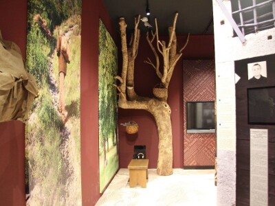 Istrorumunjski jezik