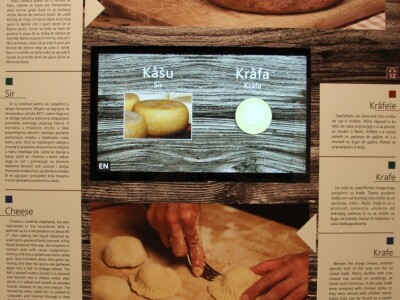 Istrorumunjski jezik