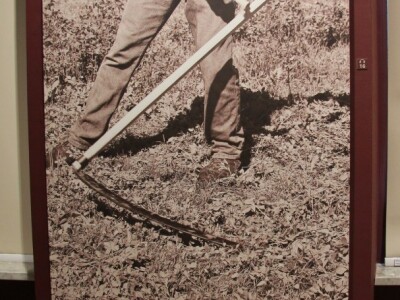 Istrorumunjski jezik