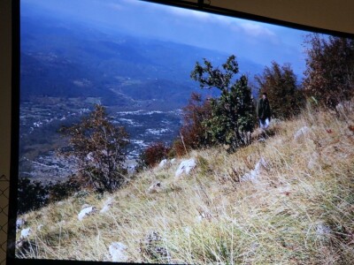 Istrorumunjski jezik