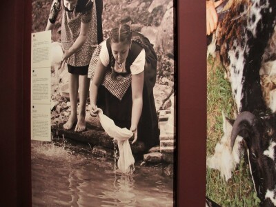 Istrorumunjski jezik