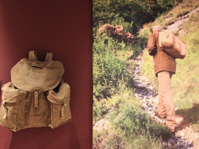 Istrorumunjski jezik