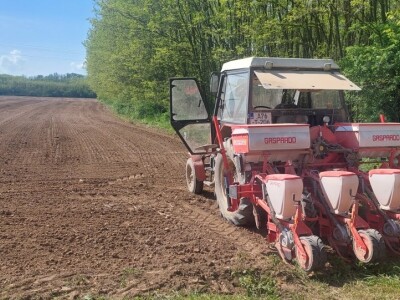 Sjetva kukuruza u Gornjoj Slatini