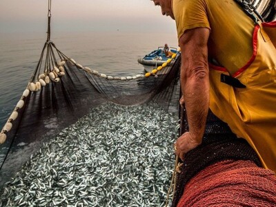 Ivan Kosić - ribar i fotograf