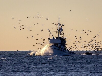 Ivan Kosić - ribar i fotograf