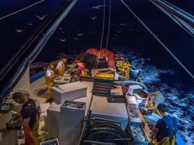 Ivan Kosić - ribar i fotograf