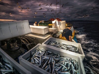 Ivan Kosić - ribar i fotograf