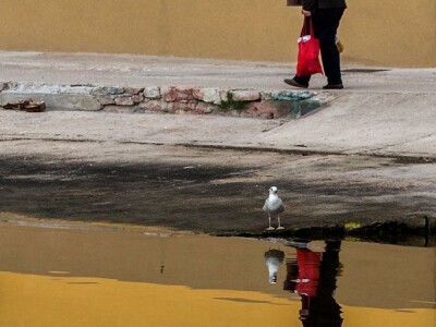 Ivan Kosić - ribar i fotograf