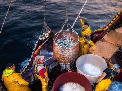 Ivan Kosić - ribar i fotograf