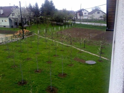 Ivan Kurevija: Voćnjak održavam uz pomoć brata i njegovih stručnih savjeta