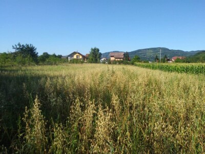 Ivan Kurevija: Voćnjak održavam uz pomoć brata i njegovih stručnih savjeta