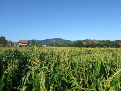 Ivan Kurevija: Voćnjak održavam uz pomoć brata i njegovih stručnih savjeta