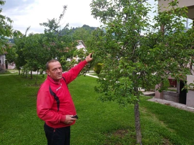 Ivan Kurevija: Voćnjak održavam uz pomoć brata i njegovih stručnih savjeta