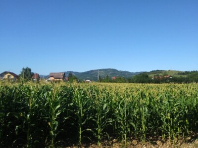 Ivan Kurevija: Voćnjak održavam uz pomoć brata i njegovih stručnih savjeta