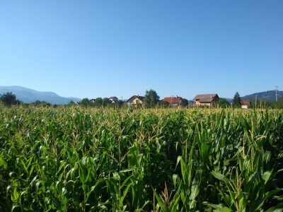 Ivan Kurevija: Voćnjak održavam uz pomoć brata i njegovih stručnih savjeta