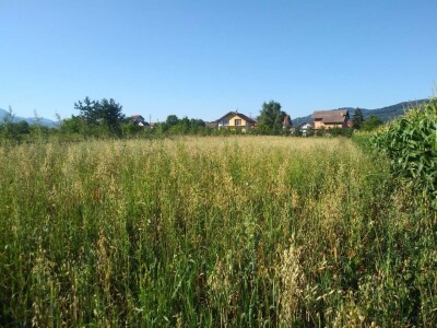 Ivan Kurevija: Voćnjak održavam uz pomoć brata i njegovih stručnih savjeta