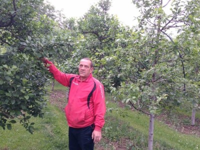 Ivan Kurevija: Voćnjak održavam uz pomoć brata i njegovih stručnih savjeta