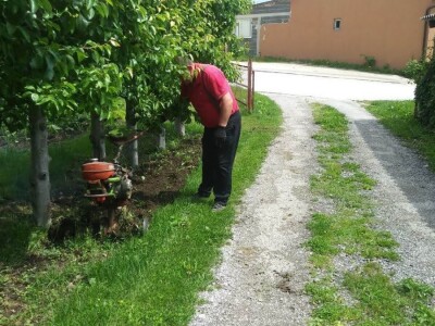 Ivan Kurevija: Voćnjak održavam uz pomoć brata i njegovih stručnih savjeta