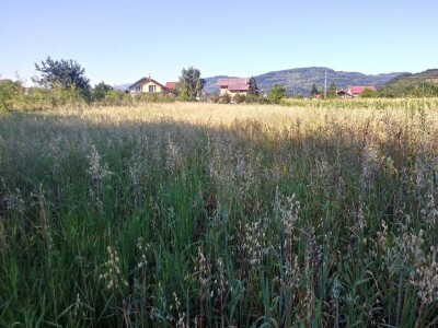 Ivan Kurevija: Voćnjak održavam uz pomoć brata i njegovih stručnih savjeta