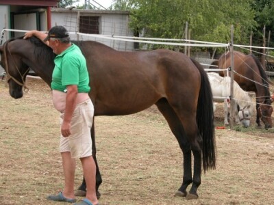 Željkov brat Ivan Majić-Zec i kobila Alfa Polaris