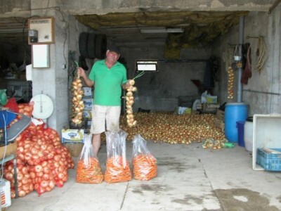 Ivan Majić-Zec pokazuje reštove kapule, eko-mrkvu...