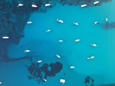 Ivan Malić, Agroklubov autor godine