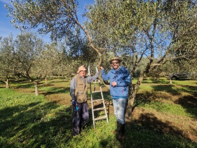 Ivan Malić, Agroklubov autor godine