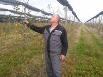 OPG Ivan Sedlar