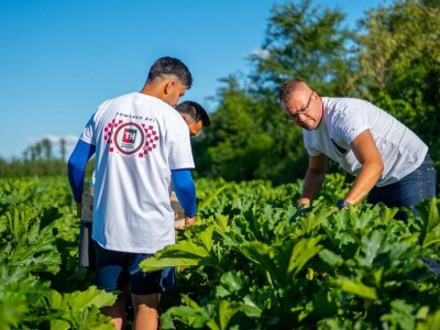 Ivan Suhanek TH Consulting