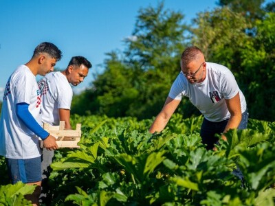 Ivan Suhanek TH Consulting