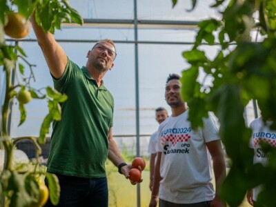 Ivan Suhanek TH Consulting