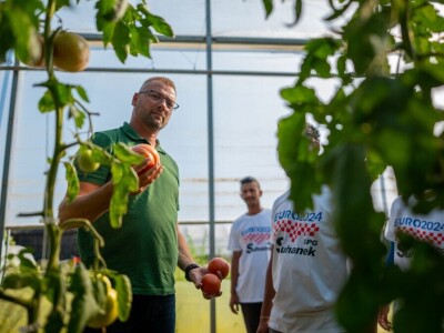 Ivan Suhanek TH Consulting