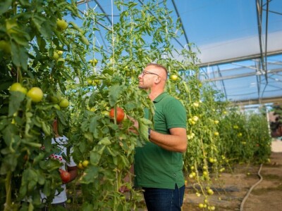 Ivan Suhanek TH Consulting