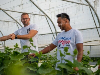 Ivan Suhanek TH Consulting