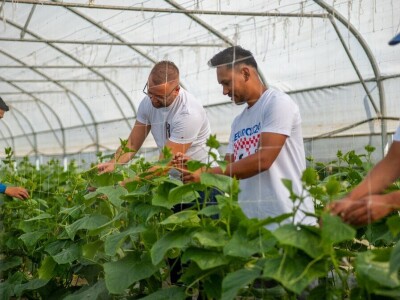 Ivan Suhanek TH Consulting