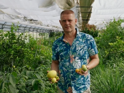 Farma crnih svinja Domagoja Vide