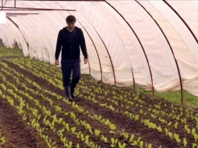 Napokon bez fakultetskih obaveza