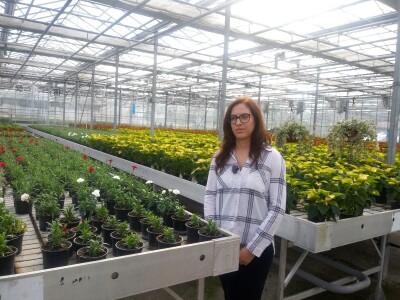 Ivana Marjanović: Prilikom kupovine Božične zvijezde, birajte one koje imaju puno listova