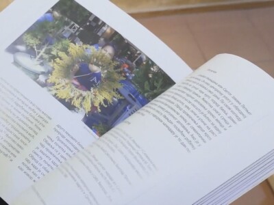 Ivanjdanski venčići