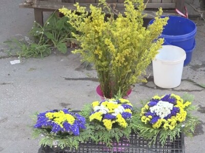 Ivanjdanski venčići