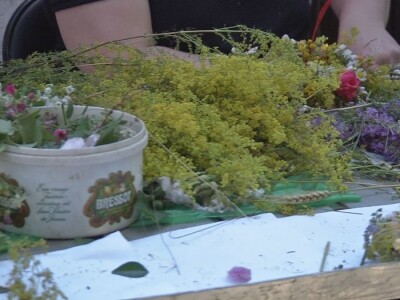 Ivanjdansko cveće i venci