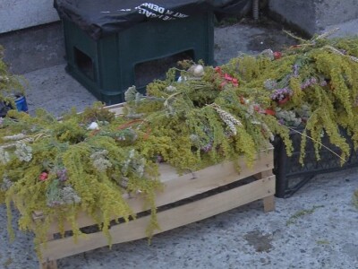 Ivanjdansko cveće i venci