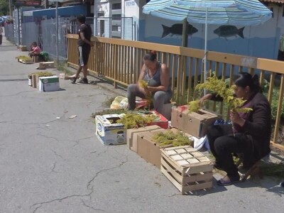 Ivanjdansko cveće i venci