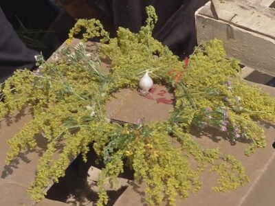 Ivanjdansko cveće i venci