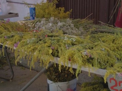 Ivanjdansko cveće i venci